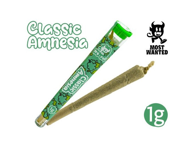 Most Wanted Pre-Roule Amnesia CBD