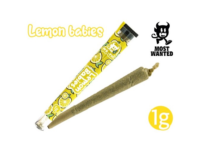 Most Wanted Pre-Roule Lemon CBD