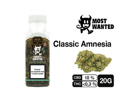 Most Wanted Amnesia CBD 20g