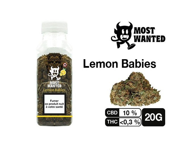 Most Wanted Lemon Babies CBD 20g