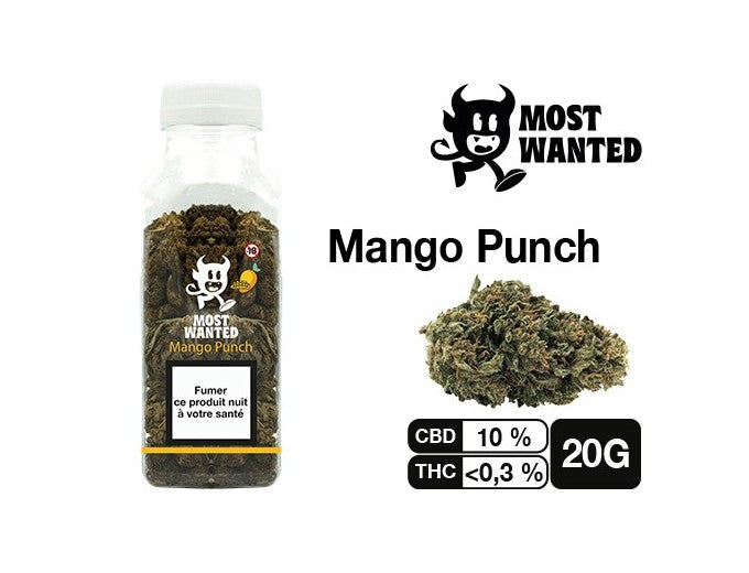 Most Wanted Mango Punch CBD 20g