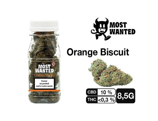 Most Wanted Orange Biscuit CBD