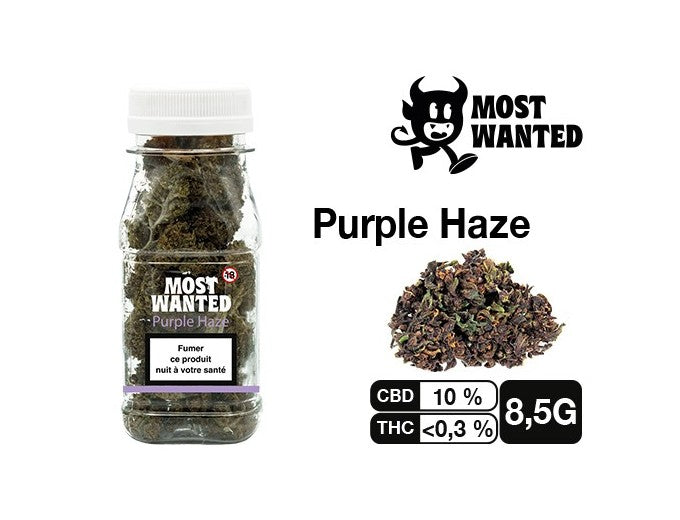 Most Wanted Purple Haze CBD