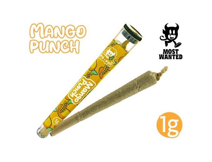 Most Wanted Pre-Roule Mango Punch CBD