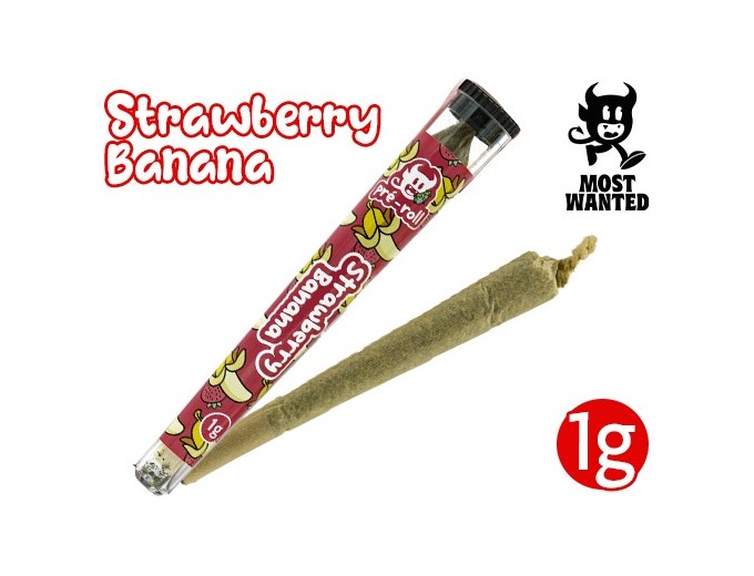 Most Wanted Pre-Roule Strawberry CBD
